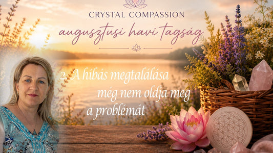 A hibás megtalálása még nem oldja meg a problémát